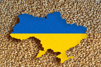 乌克兰地图谎言小麦不可能的出口世界粮食危机概念