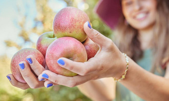 特写镜头女人持有新鲜的红色的苹果手果园农田阳光明媚的一天夏天手农民持有有营养的有机水果季节吃出售