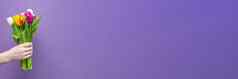 花束花男人的手紫色的背景祝贺你假期3月情人节一天生日五彩缤纷的郁金香手