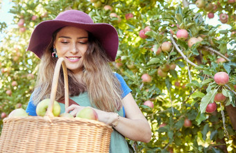 微笑苹<strong>果农</strong>民收获新鲜的水<strong>果农</strong>场快乐年轻的女人篮子选择收获成熟的苹果可持续发展的果园包围绿色植物