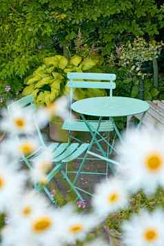 野餐表格椅子郁郁葱葱的花园和平公园宁静的院子里包围黛西花在户外放松平静舒缓的环境享受安静的愉快的打破
