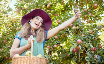 快乐女人采取自拍视频调用<strong>手机</strong>持有篮子新鲜的选苹果可持续发展的果园农场快乐的农民收获多汁的有机水果<strong>季</strong>节吃