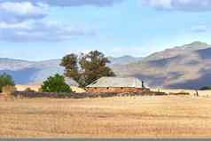 复制空间被遗弃的建筑小麦场多云的蓝色的天空背景粮食培养收获农村农场风景优美的农村西方角南非洲