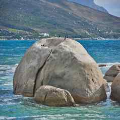 海景视图蓝色的海洋水野生鸟坐着巨石岩石营地湾海滩角小镇南非洲禽流感野生动物鸭子潮汐海波洗岩石海岸线