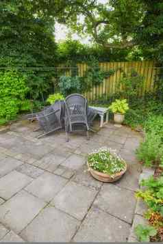 视图花园后院房子艺术椅子木板凳上各种植物树灌木院子里内部正式的优雅的花园设置早期萨默斯一天