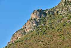 景观视图山木湾角小镇南非洲夏天假期假期风景优美的山风景新鲜的绿色植物区系日益增长的远程区域探索自然野生