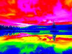 山湖岛年轻的桦木树红外照片令人惊异的温度记录