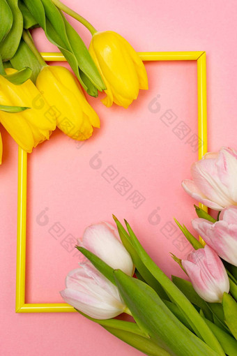 郁金香框架粉红色的背景郁金香咖啡空间粉红色的背景模型空间文本问候卡郁金香粉红色的背景春天花