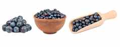 蓝莓浆果集合