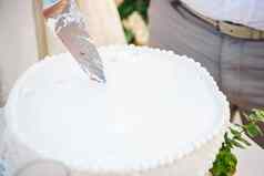 轮白色婚礼蛋糕模式敬礼