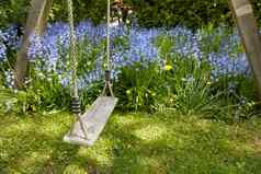 木摇摆不定的花园蓝色的花莫斯郁郁葱葱的后院和平场景被遗忘的操场上充满活力的野生蓝铃花杂草丛生的草坪上春天复制空间