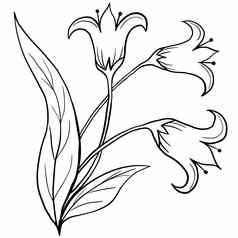 手画花花叶子插图黑色的白色优雅的婚礼点缀行艺术极简主义纹风格设计夏天春天自然分支树叶开花