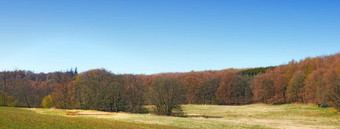景观视图森林树日益增长的<strong>安静</strong>的草地远程农村瑞典绿色松柏科的森林农村区域<strong>环境</strong>自然保护场蓝色的天空复制空间