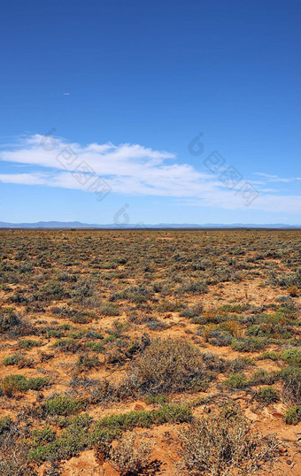 干高地稀树大草原阳光明媚的一天南非洲Copyspace空景观贫瘠的土地干绿色草原灌木棘手的灌木<strong>不文明</strong>的景观区域荒野