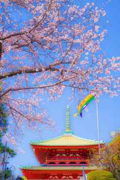 樱花takahatama横滨城市神奈川县