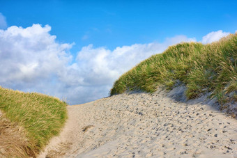 特写镜头沙子路径郁郁葱葱的绿色草日益增长的海滩多云的复制空间美丽的蓝色的天空温暖的<strong>阳光</strong>明媚的夏天一天干桑迪<strong>沙丘</strong>位于海岸线湾区域