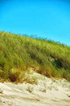 Copyspace草日益增长的空海滩沙丘蓝色的天空背景风景优美的海边探索旅行旅游桑迪景观西海岸日德兰半岛loekken丹麦