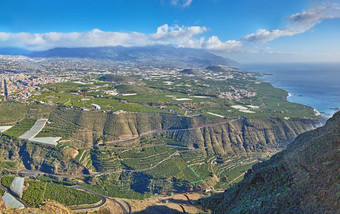 景观视图<strong>水果</strong>种植园平原城市棕榈西班牙热带风景优美的山海海洋农业体系结构小镇建筑旅行在<strong>国外</strong>旅游目的地