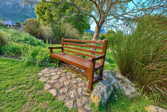木板凳上通路公共公园安静的的地方享受自然和平提供找到宁静绿色树自然动物妈妈。自然美丽的