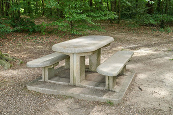 板凳上使混凝土陶瓷甜美的绿色森林夏天春天安静的的地方享受自然视图森林提供宁静的的地方树