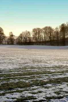 丹麦冬天景观照片冬天景观日落