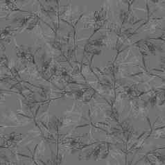 白屈菜叶子手画植物无缝的模式灰色