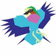 色彩斑斓的简约插图物种鸟