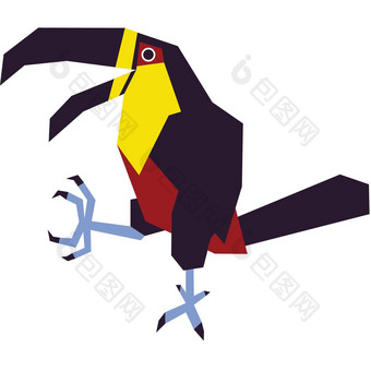 色彩斑斓的简约插图物种鸟