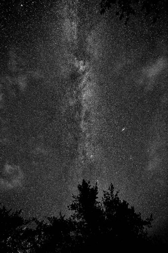 晚上天空很多闪闪发光的星星照亮星系布满星星的星座宇宙球场黑色的黑暗天空轮廓影子树背景屏幕保护程序壁纸