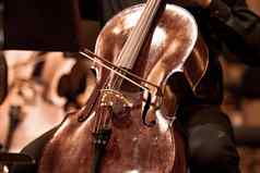 大提琴阶段爱乐乐团音乐会