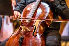 大提琴阶段爱乐乐团音乐会