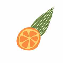橙色水果片叶子涂鸦手画向量插图