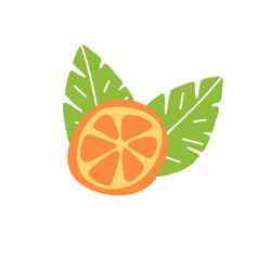 橙色水果片叶子涂鸦手画向量插图