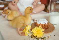 可爱的毛茸茸的小鸭复活节表格鹌鹑鸡蛋复活节纸杯蛋糕女孩概念快乐复活节