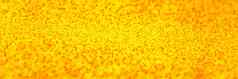 黄色的橙色闪亮的背景闪光摘要模式网络横幅