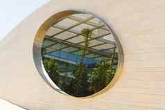 现代建筑热带植物棕榈树内部