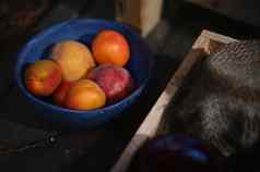 焦点成熟的杏子有机农场蓝色的陶瓷碗木盒子自制的小时罐子健康的食物