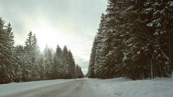 冬天森林路覆盖冰雪太阳背光危险的开车条件