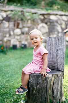 女孩坐着树桩花园