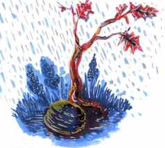 手画秋天插图枫木树多雨的天气
