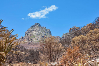 景观视图十二个使徒角小镇西方角南非洲风景受欢迎的旅游吸引力徒步旅行自然具有里程碑意义的一天多云的蓝色的天空