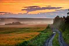 农村污垢路领先的农业字段农场牧场远程区域日出日落雾雾景观视图安静的风景神秘的农业梅多斯德国