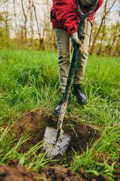园艺农业人概念认不出来女人铲挖掘地面种植树农场阳光明媚的一天
