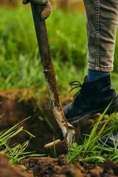 女人挖掘地面铲种植植物国家