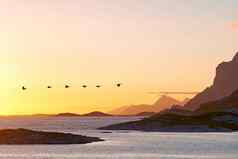 美丽的景观山海日落复制空间风景优美的视图海洋金黄色的阳光日出Copyspace和平沿海湾鸟飞行