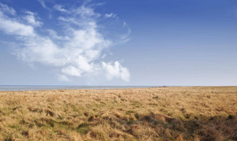 景观干开放场海东海岸卡特加特海峡日德兰半岛马里亚杰峡湾丹麦显示改变季节春天干旱沿海草地荒野
