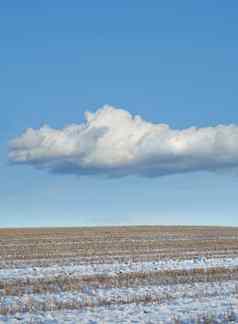 干棕色（的）农业农场覆盖白色雪冷冬天天气季节丹麦冻结农村有机生态场冻冰蓝色的多云的天空