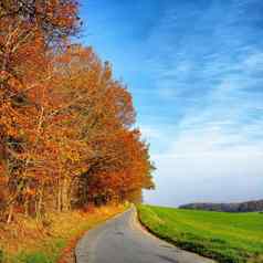 空路包围秋天树蓝色的天空复制空间景观单农村沥青巷道旅行美丽的风景优美的草地草原德国