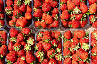 红色的成熟的草莓堆放塑料托盘出售市场