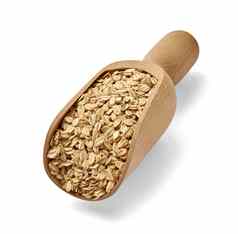 燕麦食物麦片粮食健康的燕麦片有机早餐片成分种子饮食餐木勺子